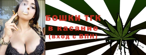 дурь Горнозаводск