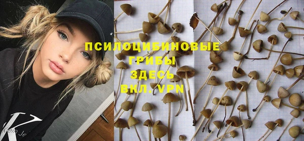 дурь Горнозаводск