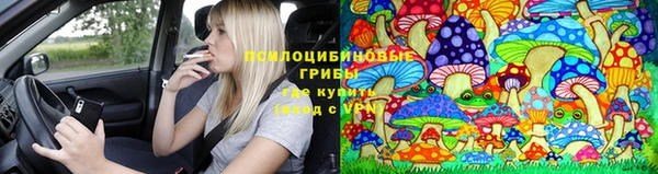 дурь Горнозаводск