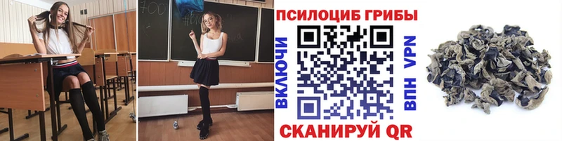 дарнет шоп  блэк спрут   Псилоцибиновые грибы Cubensis  Донецк 