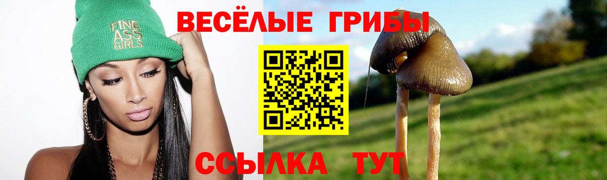 Донецк  Псилоцибиновые грибы Magic Shrooms  где можно купить   Вход с VPN 